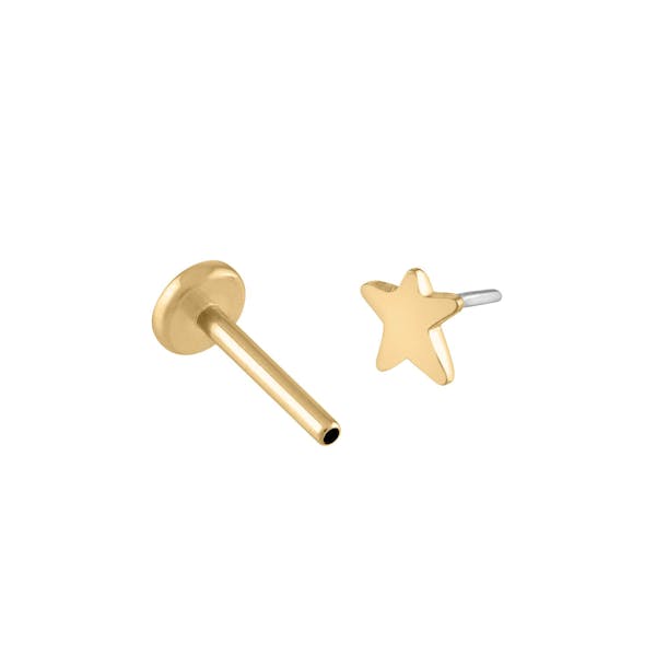 Classic Star Nap Earrings in Gold